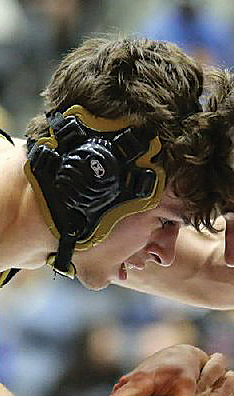 v28i8 arkansas vincent bryan